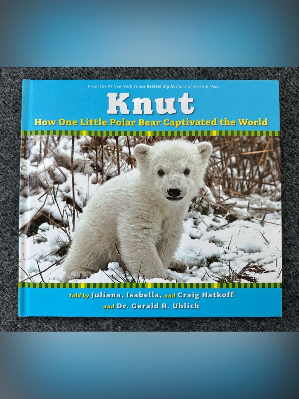 Knut: How One Little Polar Bear Captivated the World Children's Hardcover Book